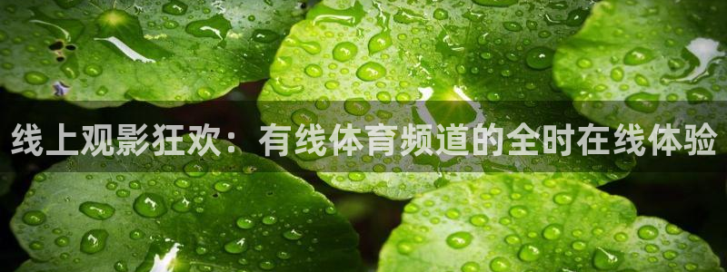 833体育赛事免费直播：线上观影狂欢：有线体育频道的全时在线体验
