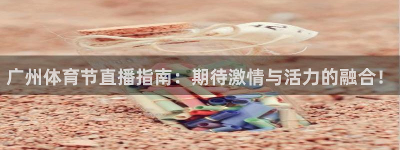 833体育赛事直播：广州体育节直播指南：期待激情与活力的融合！