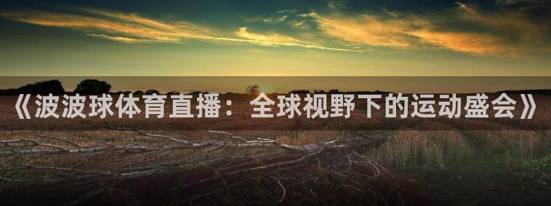 833篮球直播在线直播：《波波球体育直播：全球视野下的运动盛会》
