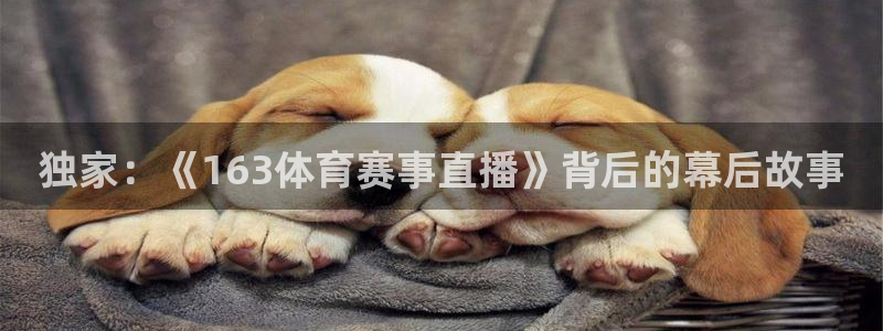 833直播足球比赛在线观看：独家：《163体育赛事直播》背后的幕后故事