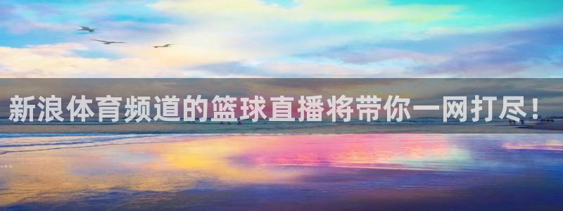 足球833直播免费观看直播：新浪体育频道的篮球直播将带你一网打尽！