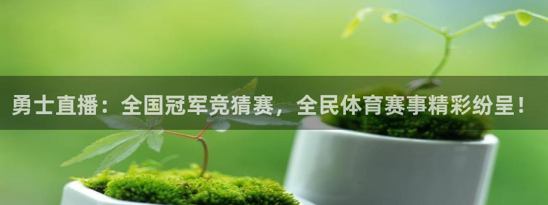 833nba直播在线观看免费：勇士直播：全国冠军竞猜赛，全民体育赛事精彩纷呈！