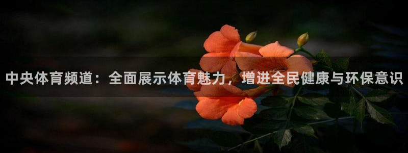 833足球免费直播：中央体育频道：全面展示体育魅力，增进全民健康与环保意识