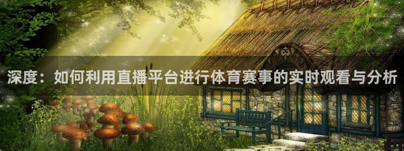 nba833直播免费观看直播在线：深度：如何利用直播平台进行体育赛事的实时观看与分析