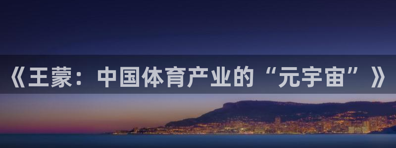 足球比赛直播间833：《王蒙：中国体育产业的“元宇宙”》
