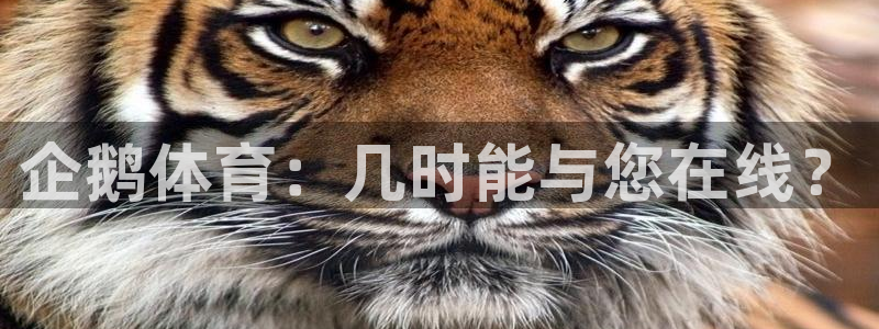 833直播篮球比赛在线观看：企鹅体育：几时能与您在线？