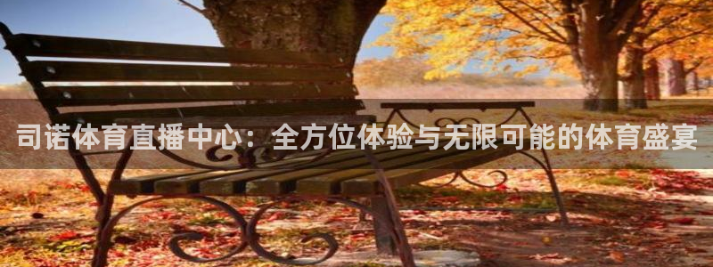 833足球比赛免费直播：司诺体育直播中心：全方位体验与无限可能的体育盛宴