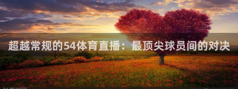 833体育免费直播平台：超越常规的54体育直播：最顶尖球员间的对决