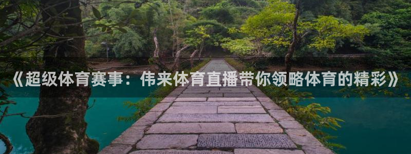 833足球直播网：《超级体育赛事：伟来体育直播带你领略体育的精彩》