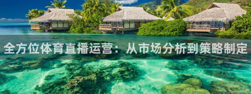 833直播nba免费观看高清直播：全方位体育直播运营：从市场分析到策略制定