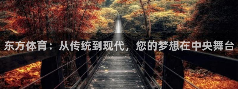 833直播足球比赛在线观看：东方体育：从传统到现代，您的梦想在中央舞台