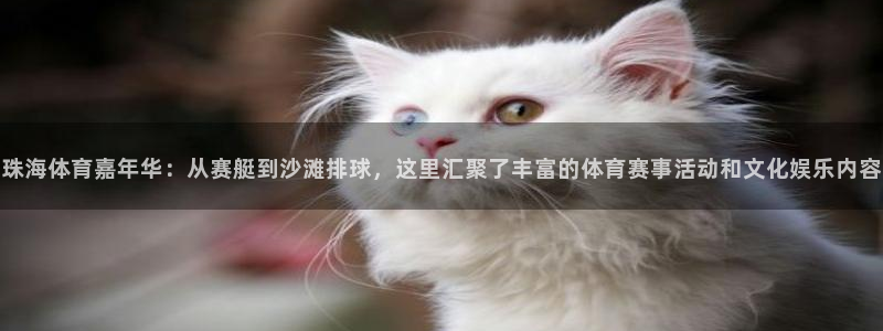 3833tv直播：珠海体育嘉年华：从赛艇到沙滩排球，这里汇聚了丰富的体育赛事活动和文化娱乐内容